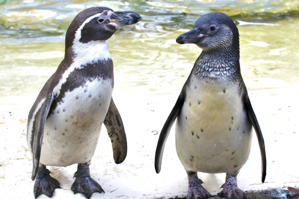 Foto: Monique Bartsch